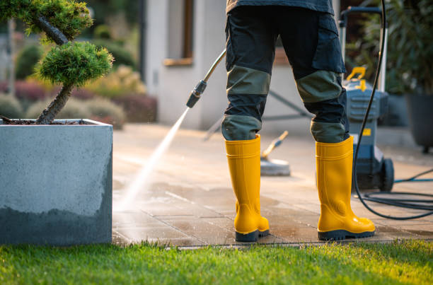 Best Fence Pressure Washing  in USA